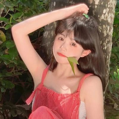 波利大作战手游下载